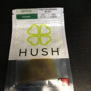 !!Hush-Amnesia Shatter #4254