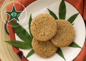 edible-11-gingerdoodle-cookie