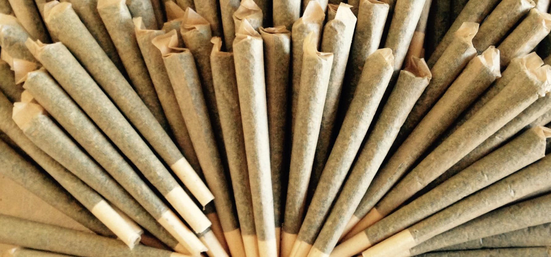 preroll-1g-house-joints-strain-specific