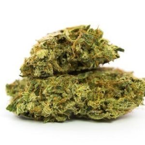 [5G FOR $25] FOREST DREAM