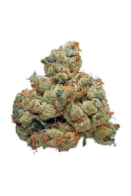 marijuana-dispensaries-82-s-federal-blvd-denver-alien-rock