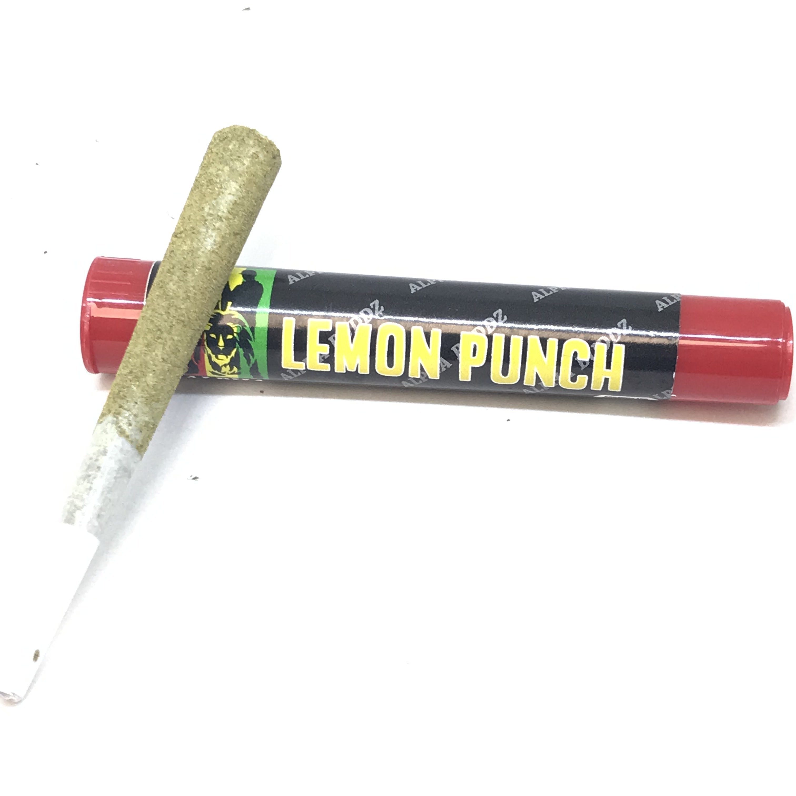 Alpha buddz Lemon Punch Preroll