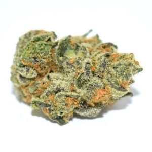 ANIMAL COOKIES (5 FOR $45)