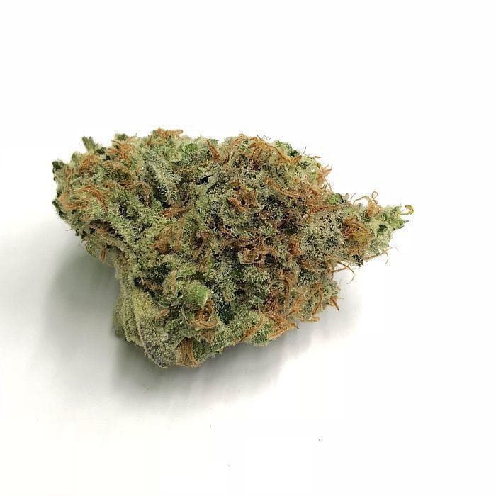 AREA-51 ( 10G FOR $95 )
