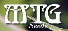 B4 (10pk) by MTG Seeds