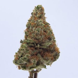 Black D.O.G. by Top Hat Cannabis