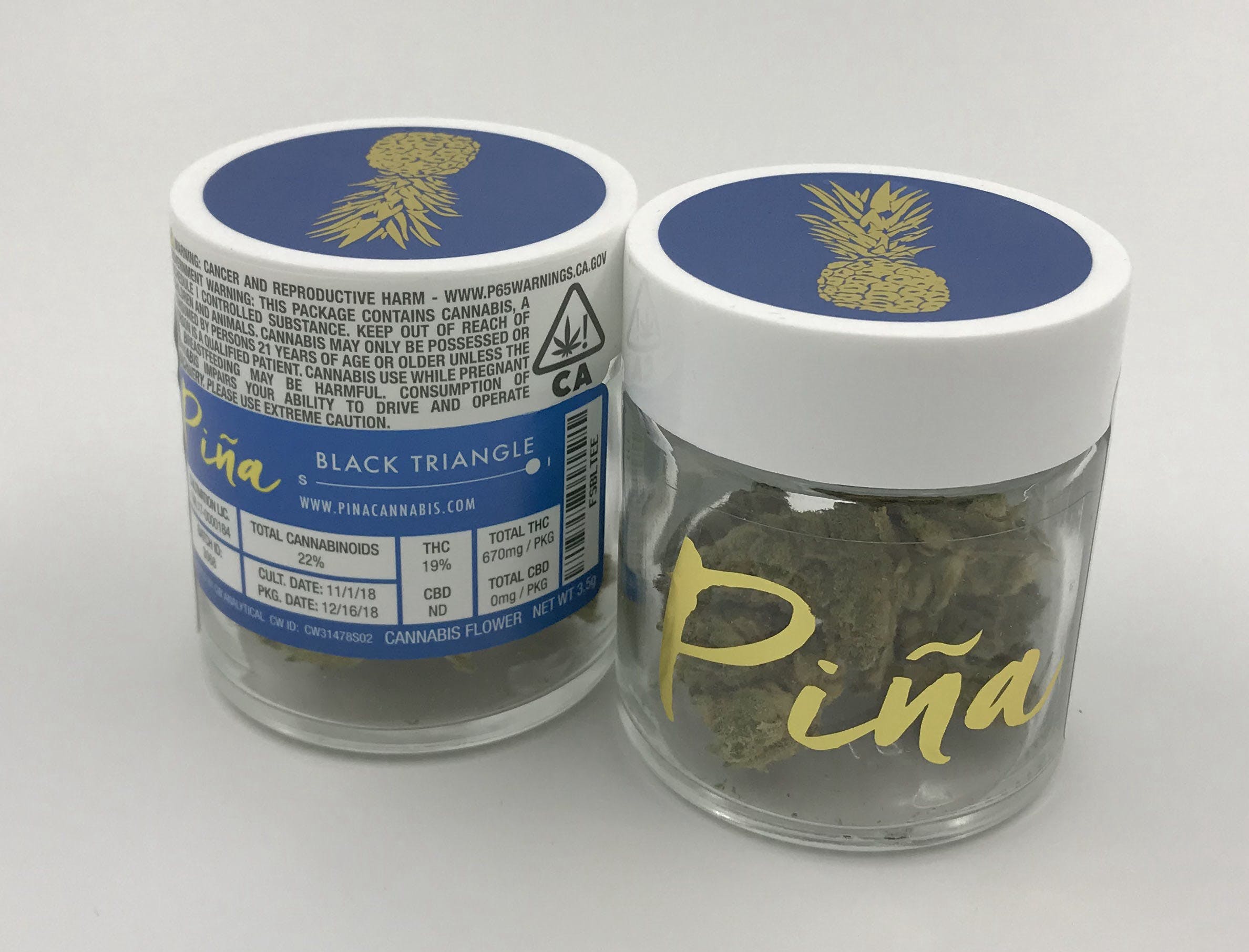 indica-black-triangle-by-pina