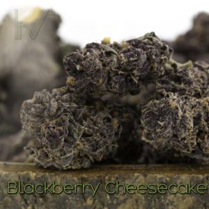 Blackberry Cheesecake Hybrid Indica