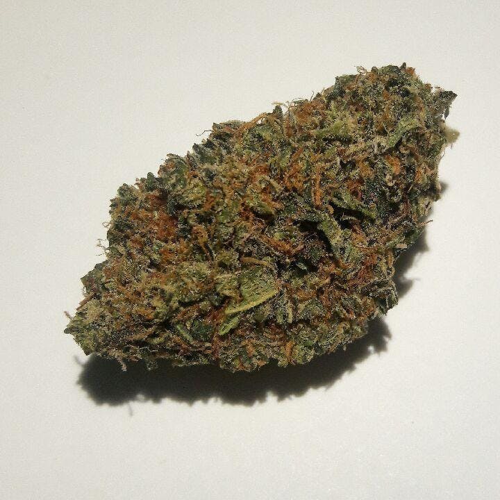 BLUE BERRY COOKIES (5G/$35)