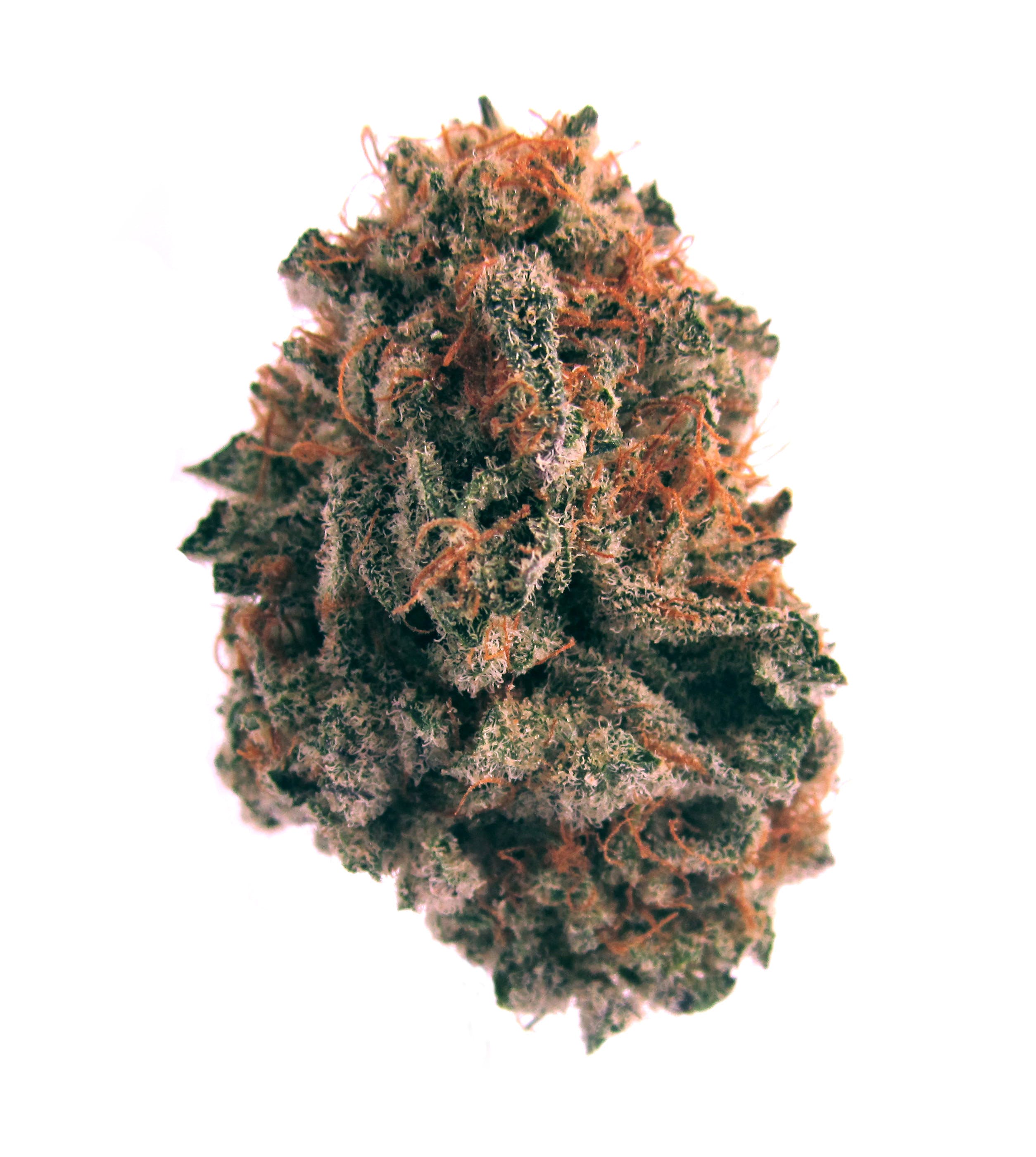 marijuana-dispensaries-984-s-manhattan-pl-los-angeles-blue-berry-skunk