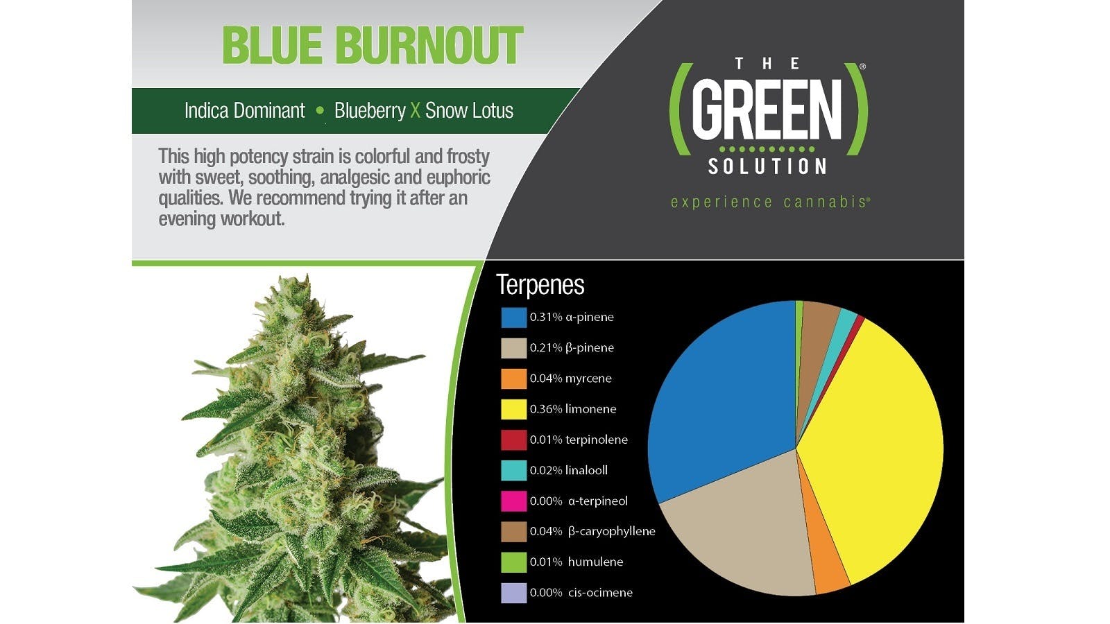 marijuana-dispensaries-the-green-solution-union-station-in-denver-blue-burnout