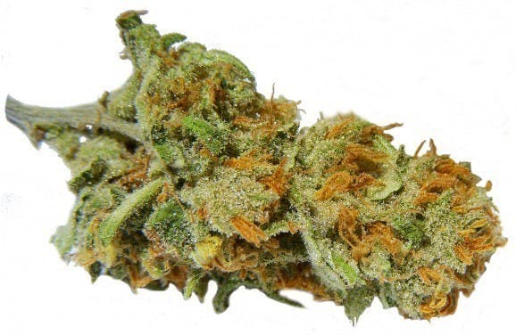 sativa-blue-candy-5g-40456g-4050