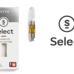 Blue City Diesel - 0.5g Cartridge