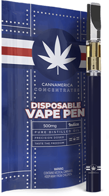 Blue Razz Indica Disposable Vape Pen by CannAmerica 0.5g