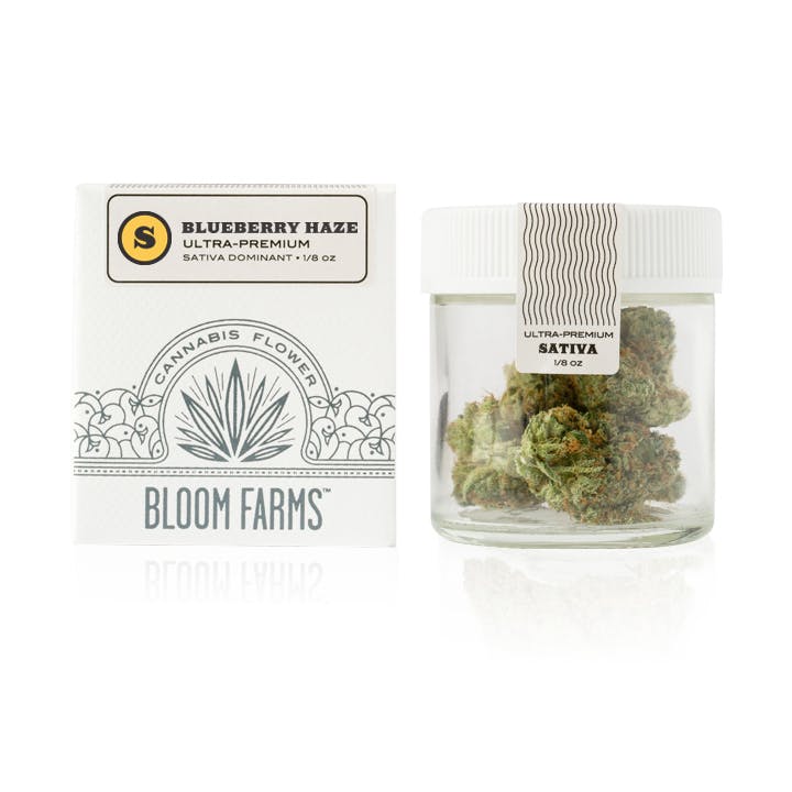 marijuana-dispensaries-7-stars-holistic-healing-center-in-richmond-blueberry-haze-ultra-premium-flower