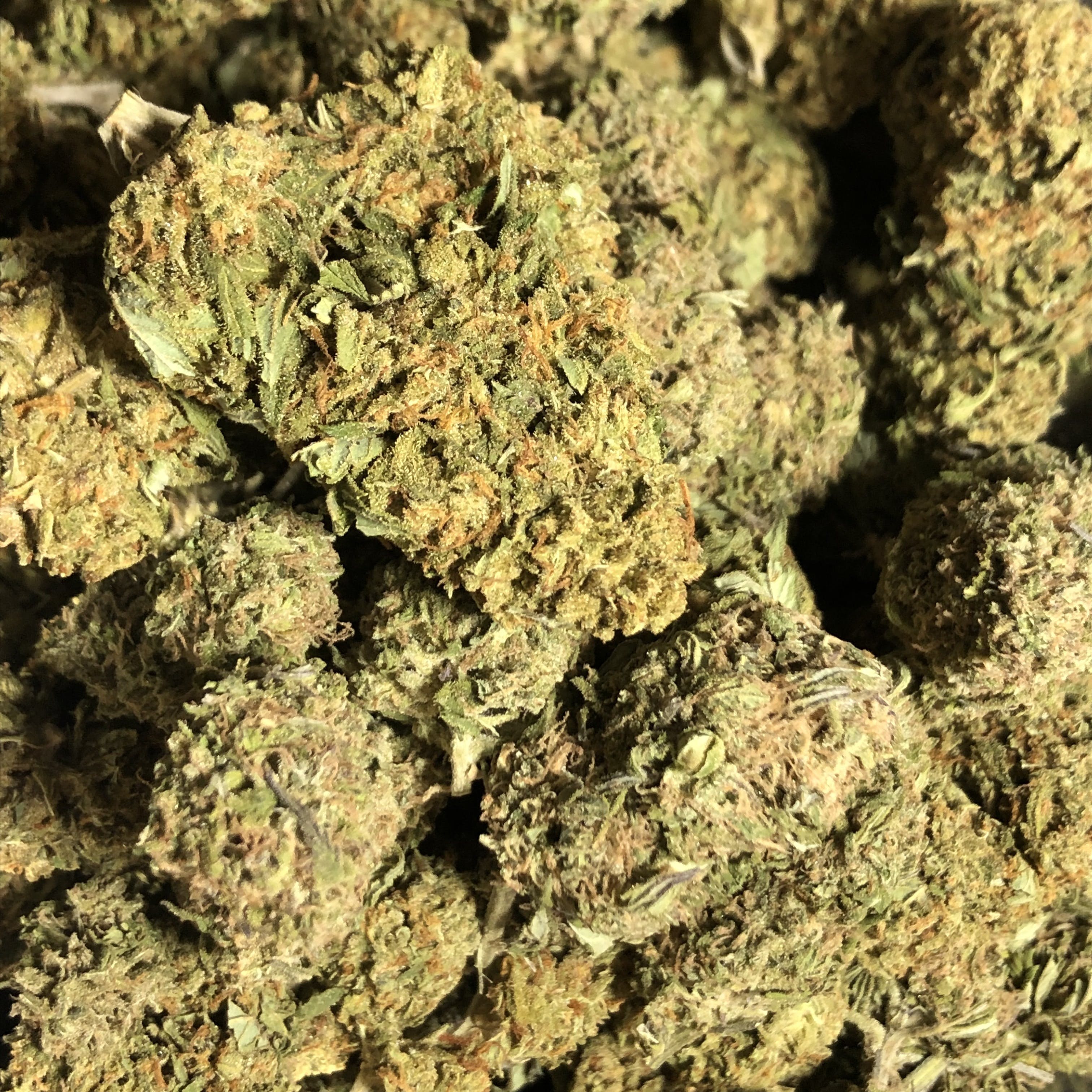 marijuana-dispensaries-green-plus-in-oklahoma-city-blueberry-haze
