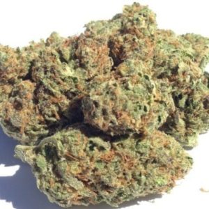 Blueberry - Popcorn Buds (Tax Included)