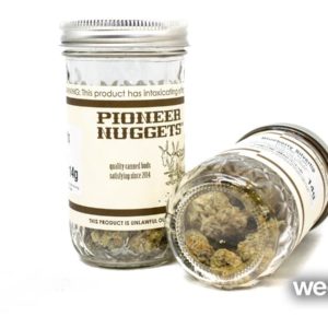 Blueberry Silvertip- Pioneer Nuggets