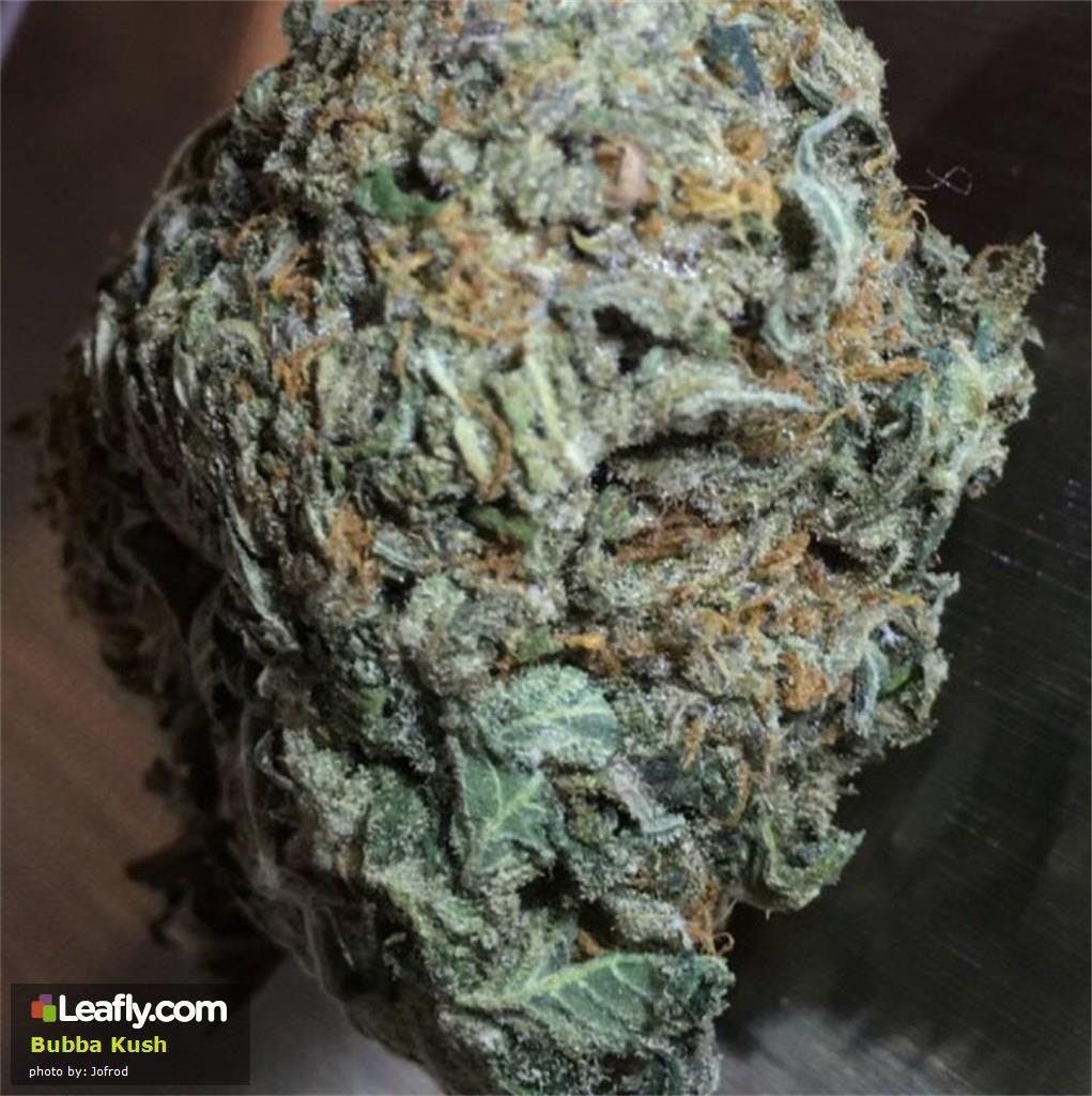 marijuana-dispensaries-the-kind-room-in-denver-bubba-kush