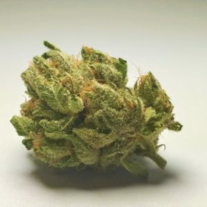 Bubba Skywalker - Tax Included - (Rec)