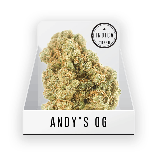 Bud - Andy's OG 21.51% THC