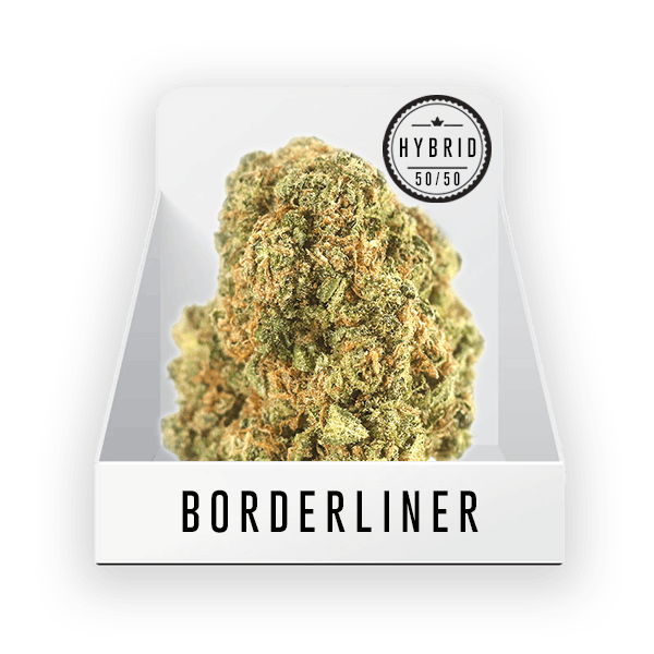 Bud (Top Shelf) - Borderliner 21.60% THC