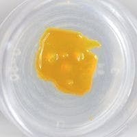Canamo Shatter - The 11