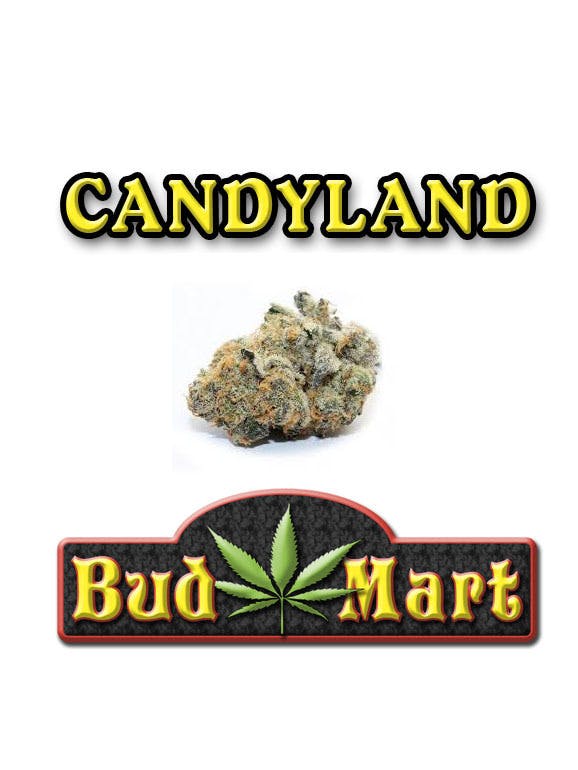 marijuana-dispensaries-the-kind-room-in-denver-candyland