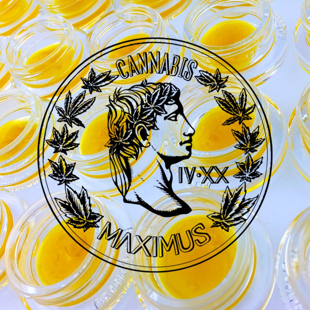 Cannabis Maximus - Wax - Indica