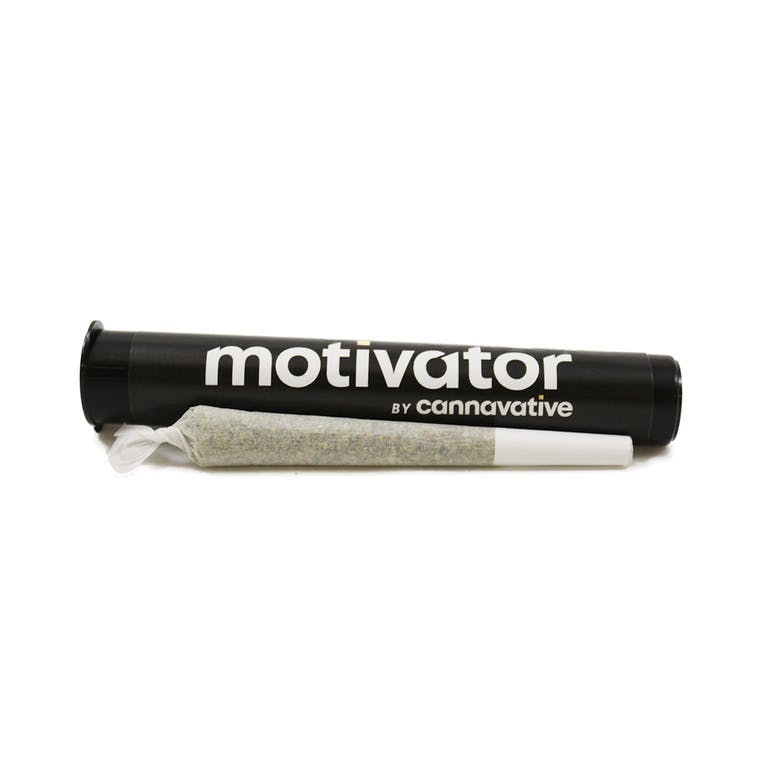 CANNAVATIVE - MOTIVATOR - FLORIDA LEMONS