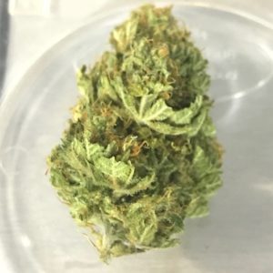 Cherrywine CBD | THC: 0.62%, CBD: 15.09%, CBG: 0.39%