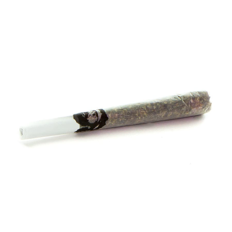 Chong's Choice Pre-roll w/ Concentrate - Indica