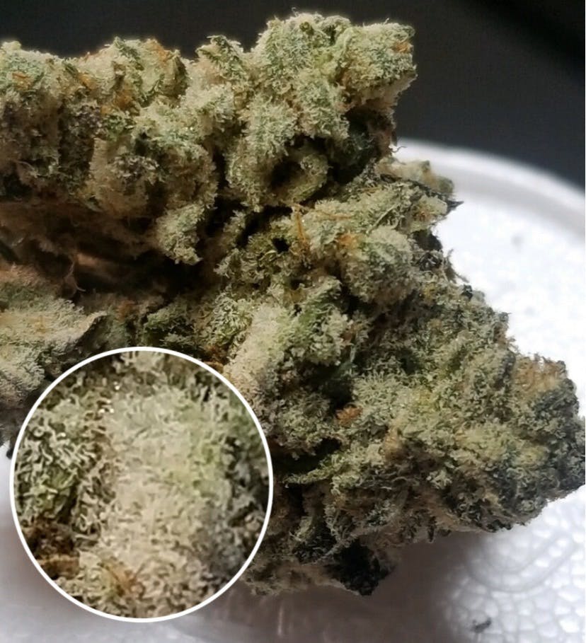 marijuana-dispensaries-2285-south-santa-fe-231-vista-cookie-pucker