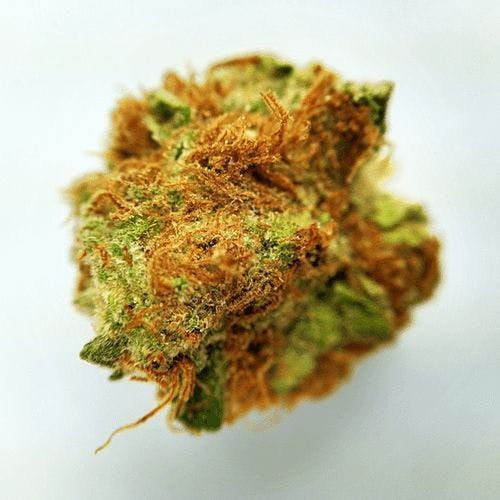 Critical Mass CBD - WGP