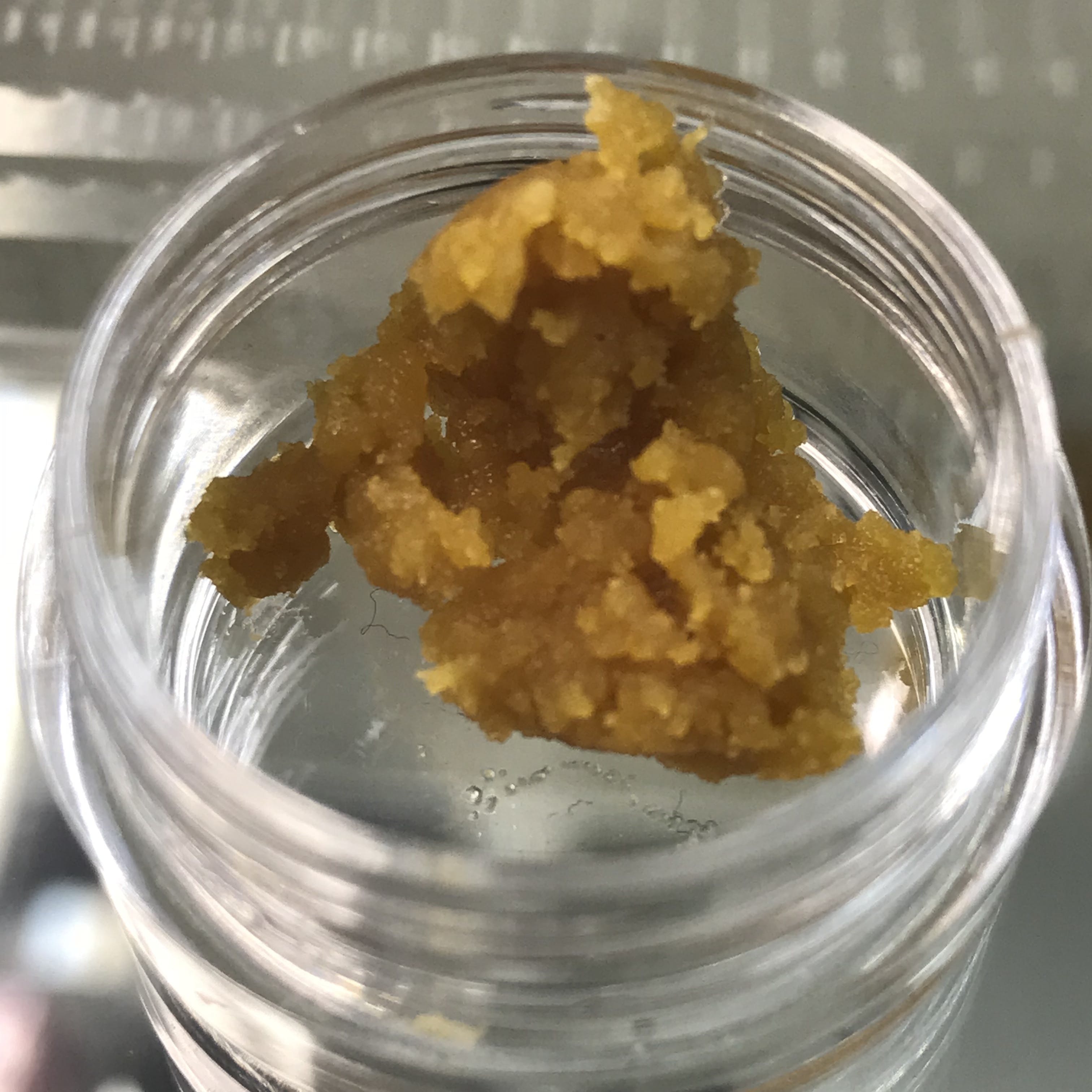 (CRUMBLE WAX) : GUCCI OG