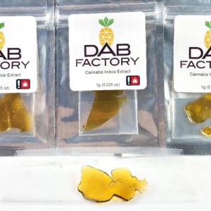 Dab Factory Afgooey Shatter