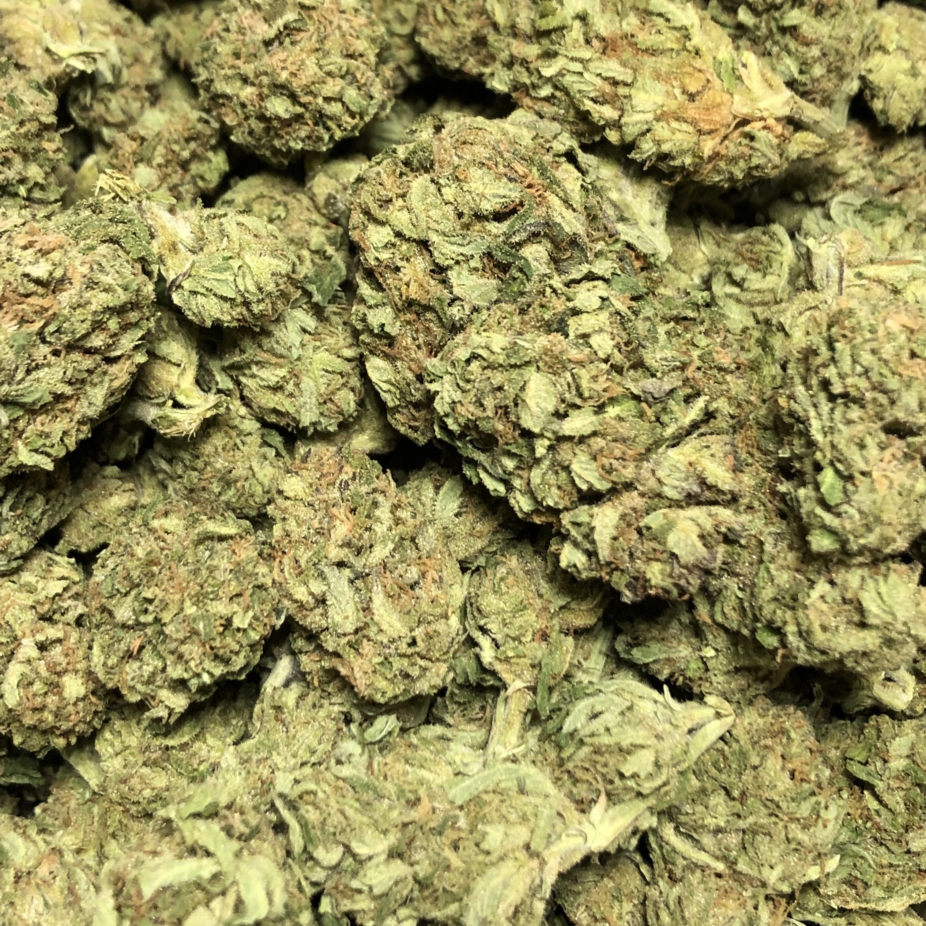 marijuana-dispensaries-green-plus-in-oklahoma-city-deadhead-og