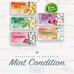 DIXIE BRANDS ORANGE ZEST MINTS