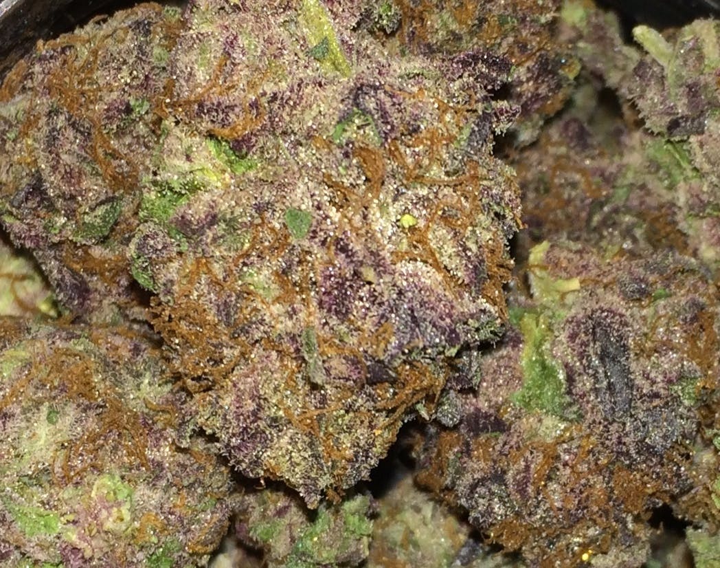 indica-do-si-dos-purple