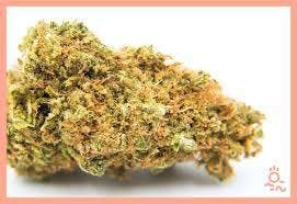 marijuana-dispensaries-natural-healing-remedies-in-bakersfield-durban-poison