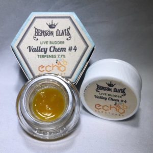 Echo Electuary - Valley Chem 4 Live Budder 1g (M1580)