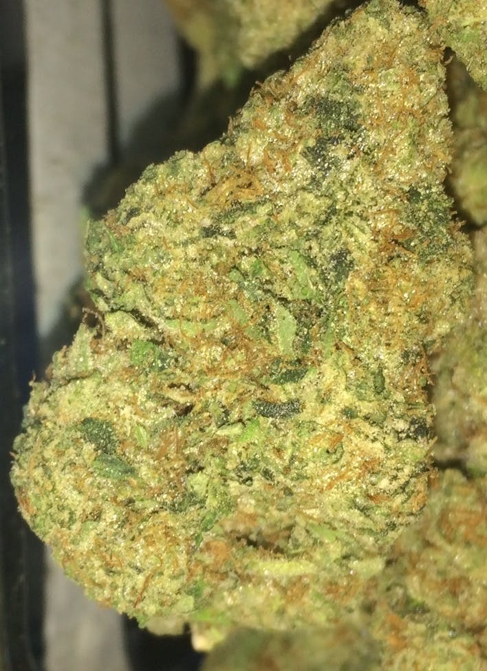 indica-el-chapo-private-reserve