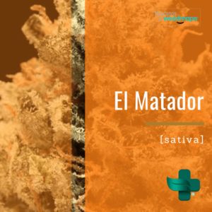 El Matador