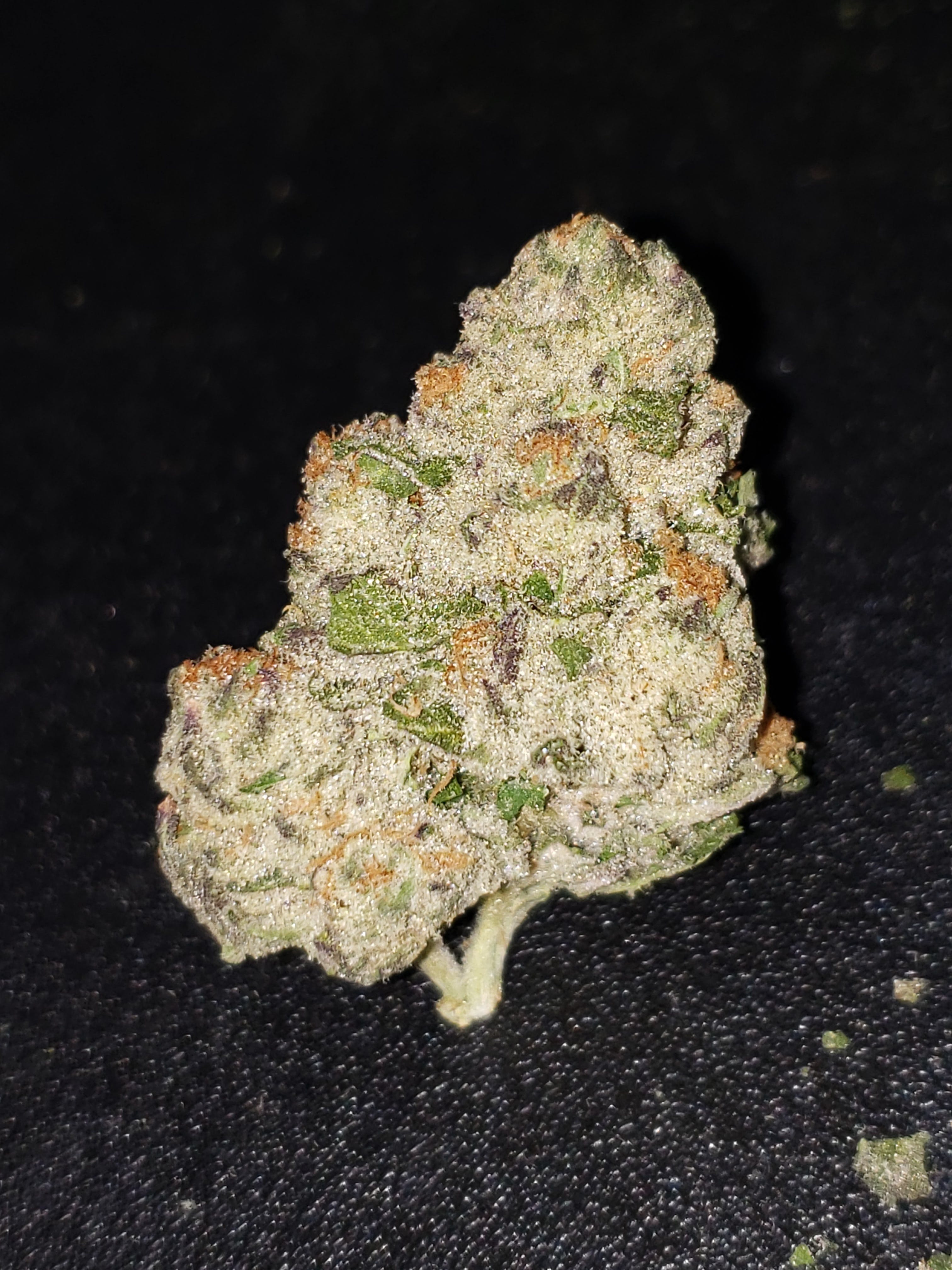 indica-electric-punch