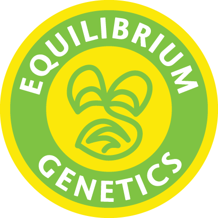 Equilibrium Genetics $70 Seeds