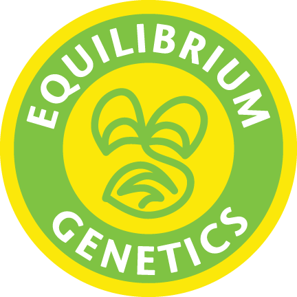 EQUILLIBRIUM GENETICS: TKO Seeds