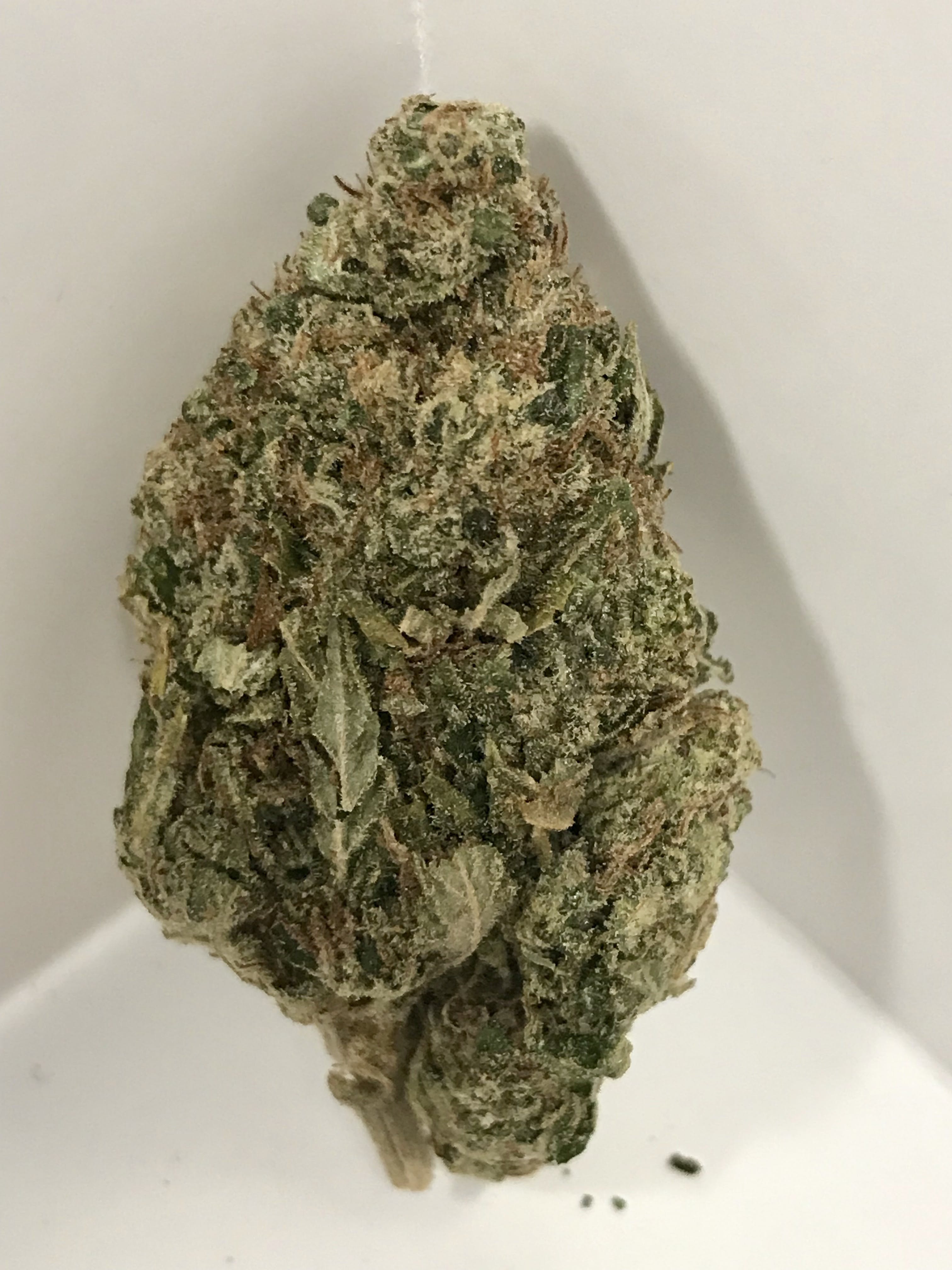 marijuana-dispensaries-92-pullman-way-san-jose-eureka-farms-chem-91