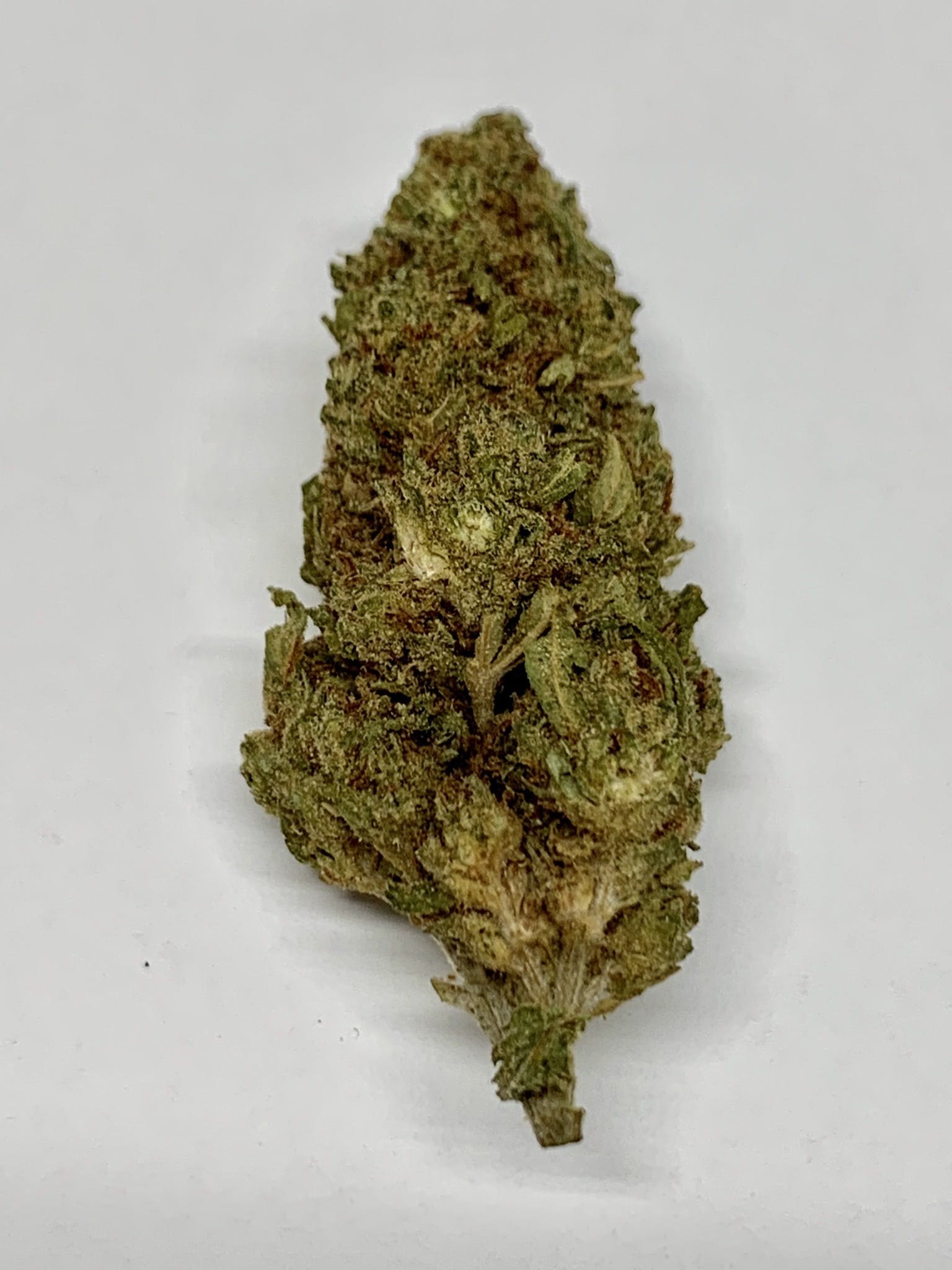 marijuana-dispensaries-92-pullman-way-san-jose-eureka-j1