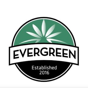 Evergreen Coffee Mug