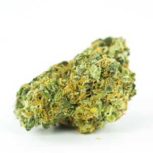 *EXCLUSIVE* ACAPULCO GOLD (5G/40 2OZ /390 QP/760)